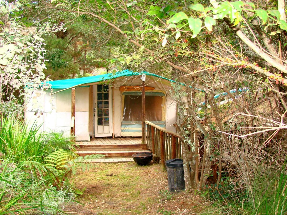 Hindthausen Hotel Knysna Bagian luar foto